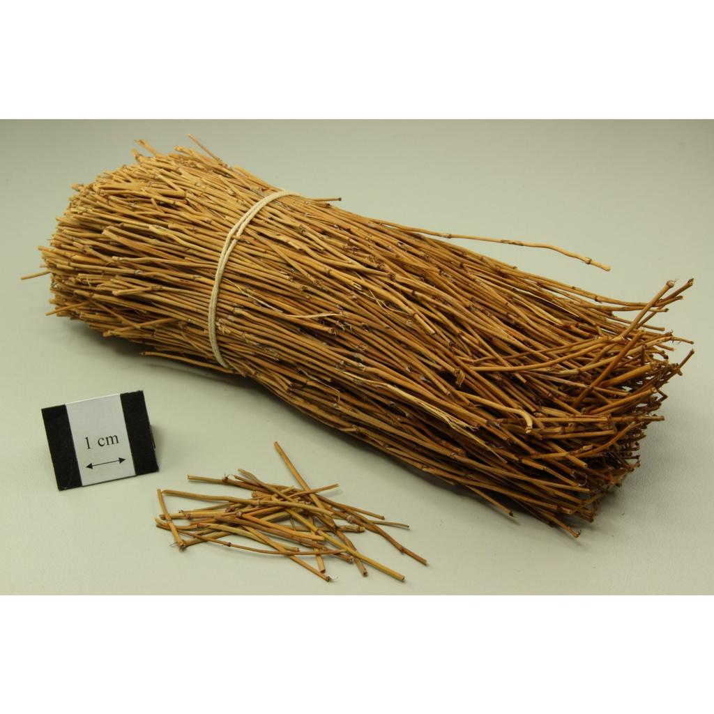 250g Mo Huang Healthy Herbal Tea Natural Muhuang Tea 250g Chinese Herbal