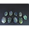 337Cts.Abalone Shell Oval Cabochon Loose Natural Gemstone 09Pcs Lot 30-33MM C-1720