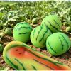 Simulation Color-Changing Sticky Watermelon Extrusion Toy Decompression Slow Rebound  Pressure Ball Alleviate Anxiety Party Gift