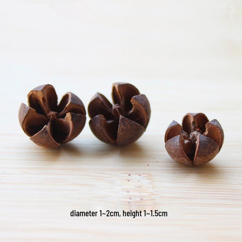 Natural Dried Fruit Wood Slices & Pine Acorn Christmas Decor Materials for Photography Backgrounds