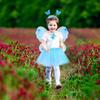CALLARON Fairy Butterfly Cape Lightweight Perfect for and Parties Kids' Wings, Wings, Style, 42x33cm, 110g, Kids' Costumes, Halloween,