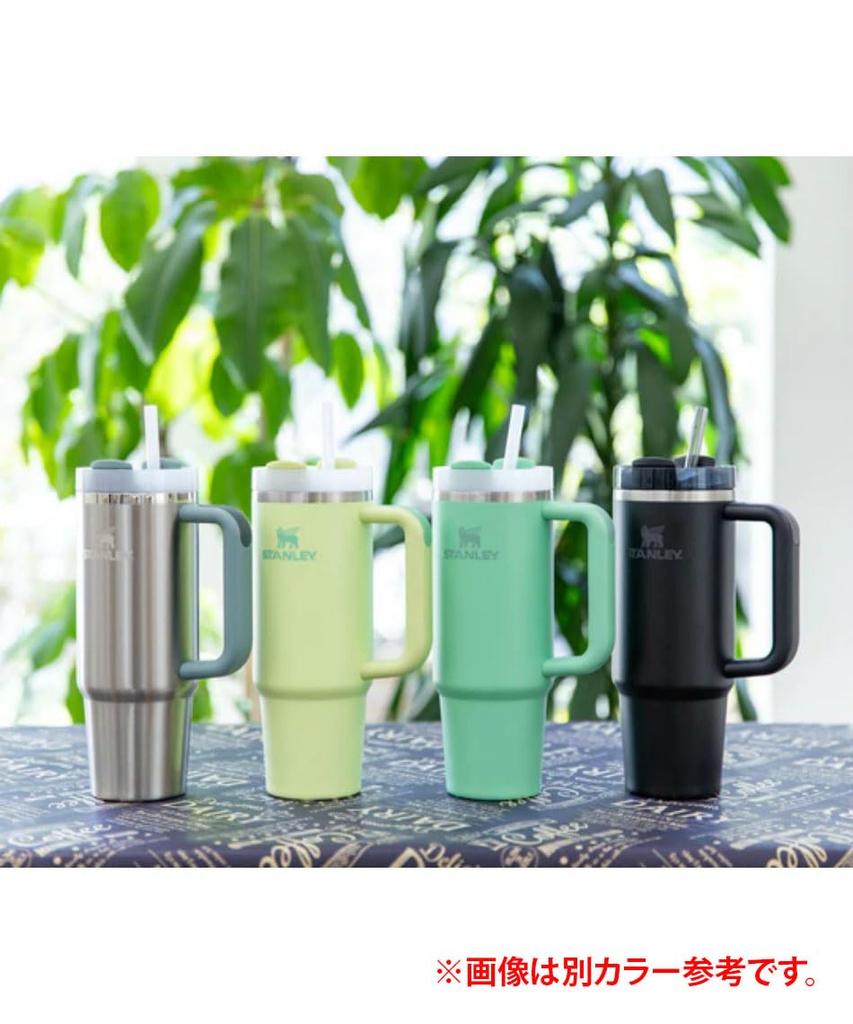 STANLEY Wasserflasche Becher Vakuum Slim Quencher H2.0 0,88L 10-10827-525 (Lavendel/FF)