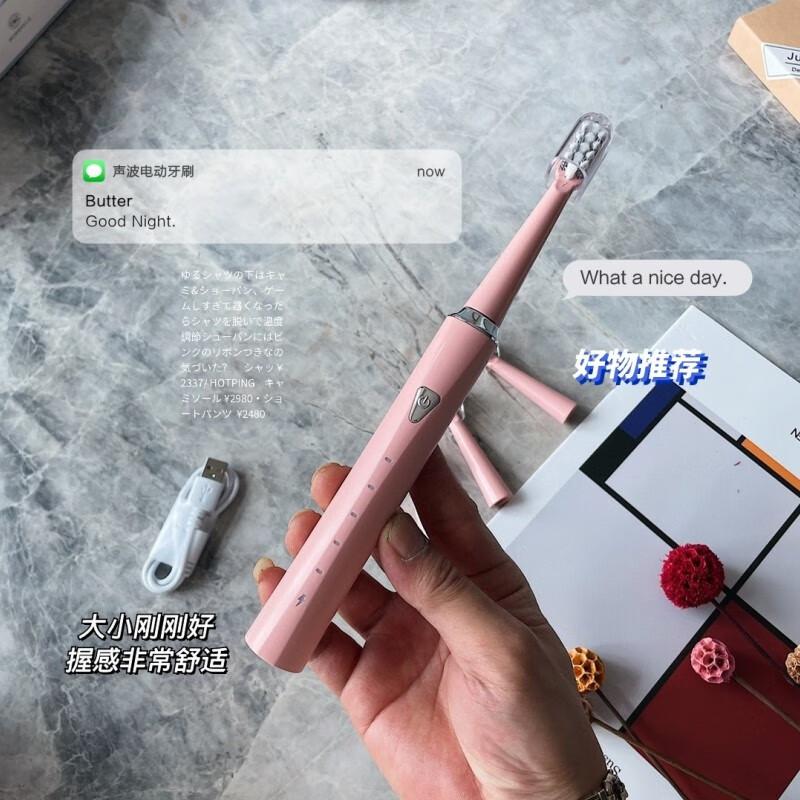 

JUN 17 WN Adult Sonic Electric Toothbrush Set Electric Toothbrush Set