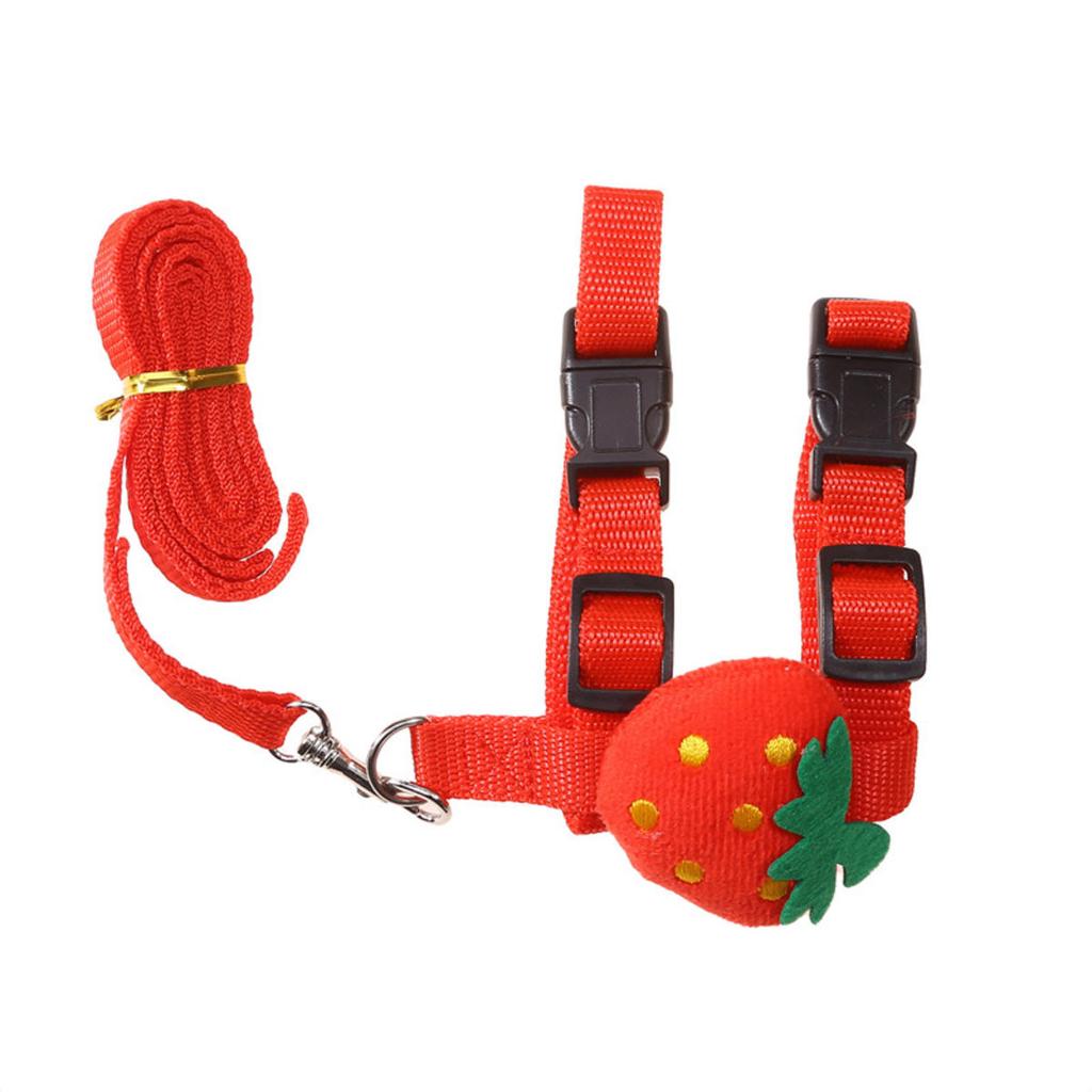 Kanin Katteseler og Båndsett Justerbare Seler for Kanin Kattunge Piggsvin Kjæledyr Utendørs Gåutstyr Tilbehør