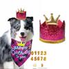 British Plaid Pet Birthday Hat and Bib Set for Dogs and Cats