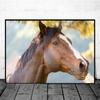 Horse Wall Art Posters Horse Running Canvas Art Print Painting Beautiful Horses Pictures for Modern Home Living Room Decoration