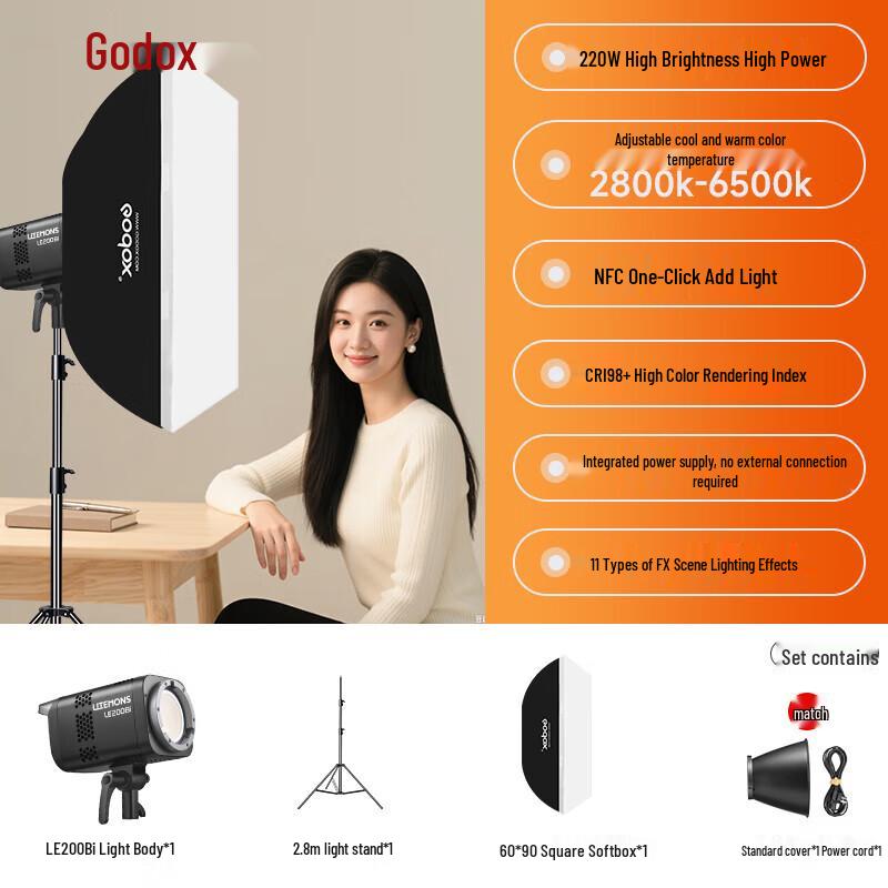 Godox LE200BI Bi-color LED Video Light Kit