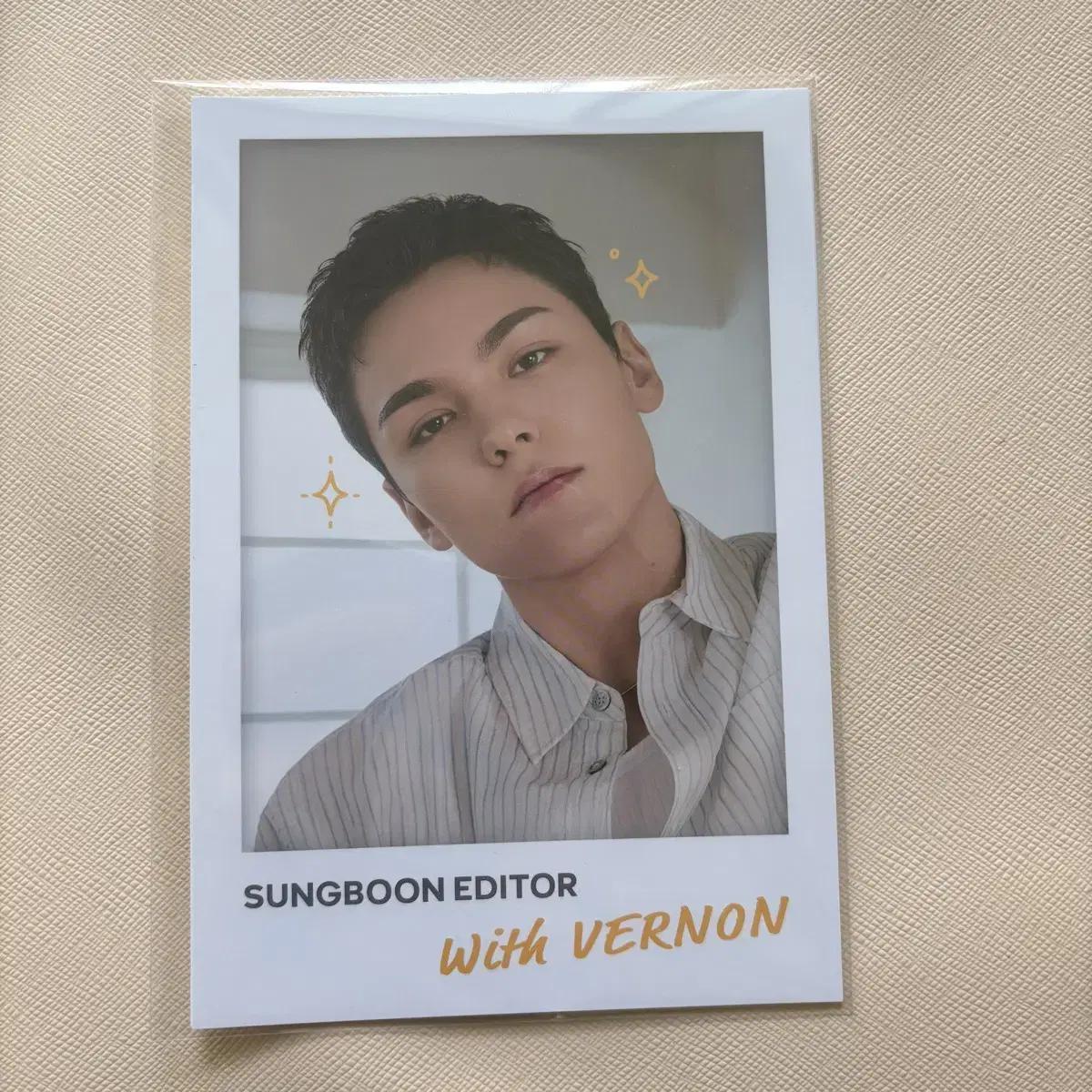 

Семнадцать Вернон Редактор Ингредиентов Фоторамка