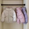 Höst Vinter Flickjacka Enfärgad Tjock Varm Med Huvuva Dragkedja Ytterplagg Barn Dun Casual Parkas