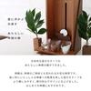 Kamidana no Sato Modern Shinto Mirror, Kasumikumo, Walnut, 1.5 inches, Natural, Small
