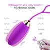 Wireless Remote Control Silicone Wearable Panties Vibrator Egg Clit G Spot Sex Toy for Women