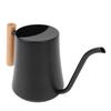 Indoor Watering Can Stainless Steel Wooden Handle Watering Pot with Long Spout for House Plants Flowers Succulents