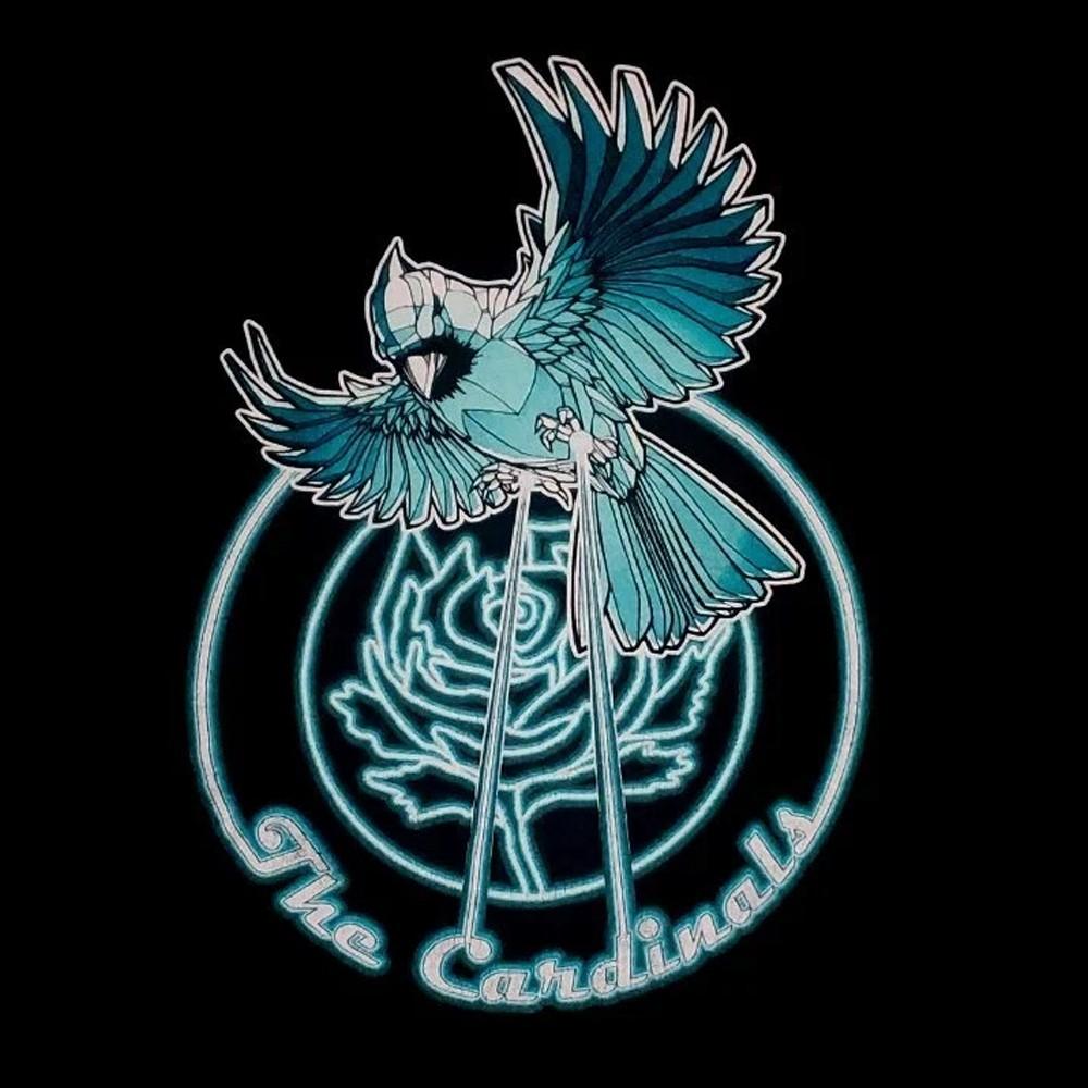 Классическая футболка унисекс Ryan Adams Cold Roses 20D wbr/ 1028 XXXL