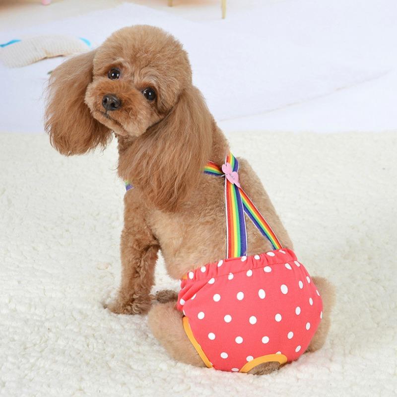 Female Dog Diapers Physiological Pant Puppy Women's Panties Shorts Underwear Washable Clothes for Small Medium Girl Dogs Cat