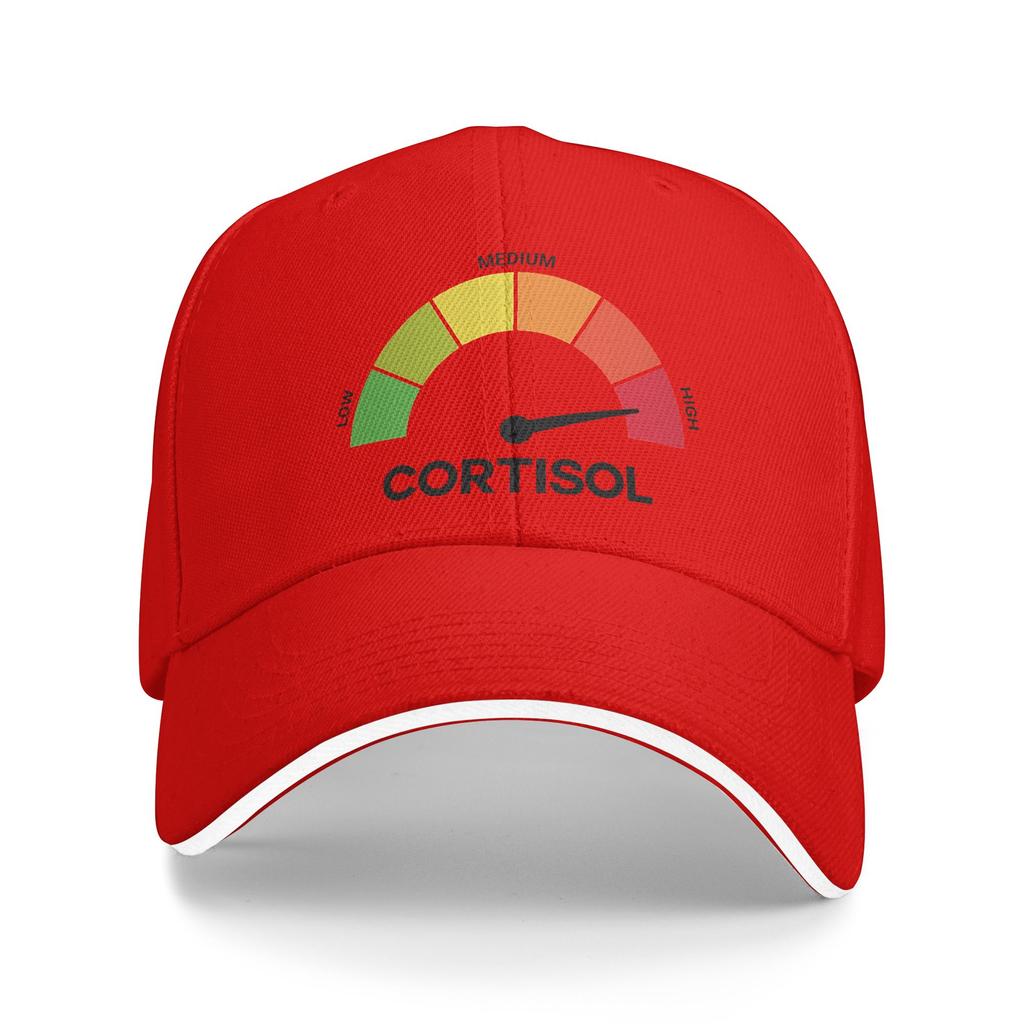 Funny Cortisol High Level Stress Meter Meme Baseball Cap Fashion Couple Hip Hop Hats Hot Sale Print Kpop Rock Baseball Caps Gift