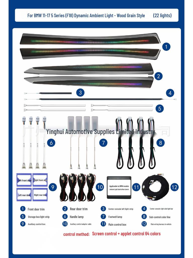 BMW 5 Series F18 Ambient Light: Dynamic, Colorful Lighting Mold