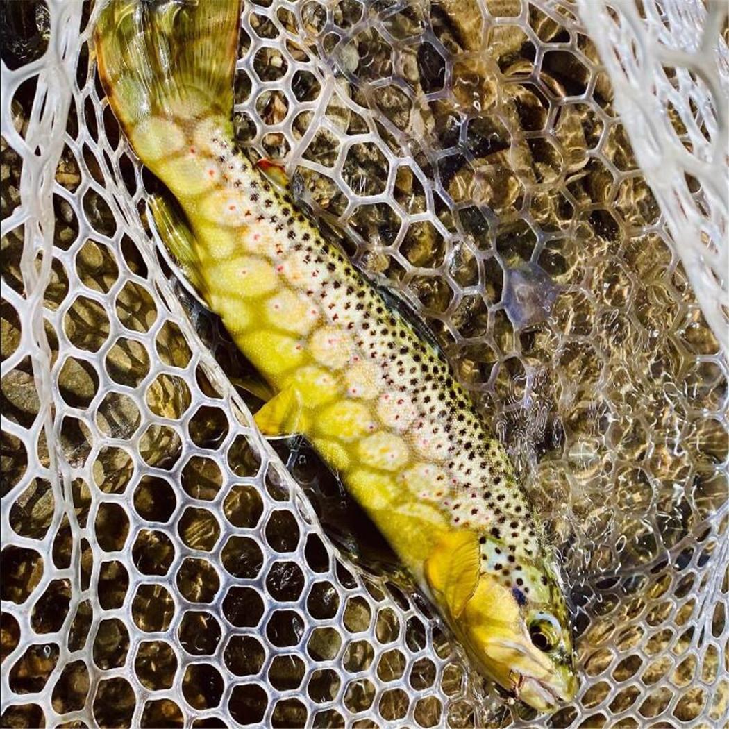 1/3 шт. — фото 11