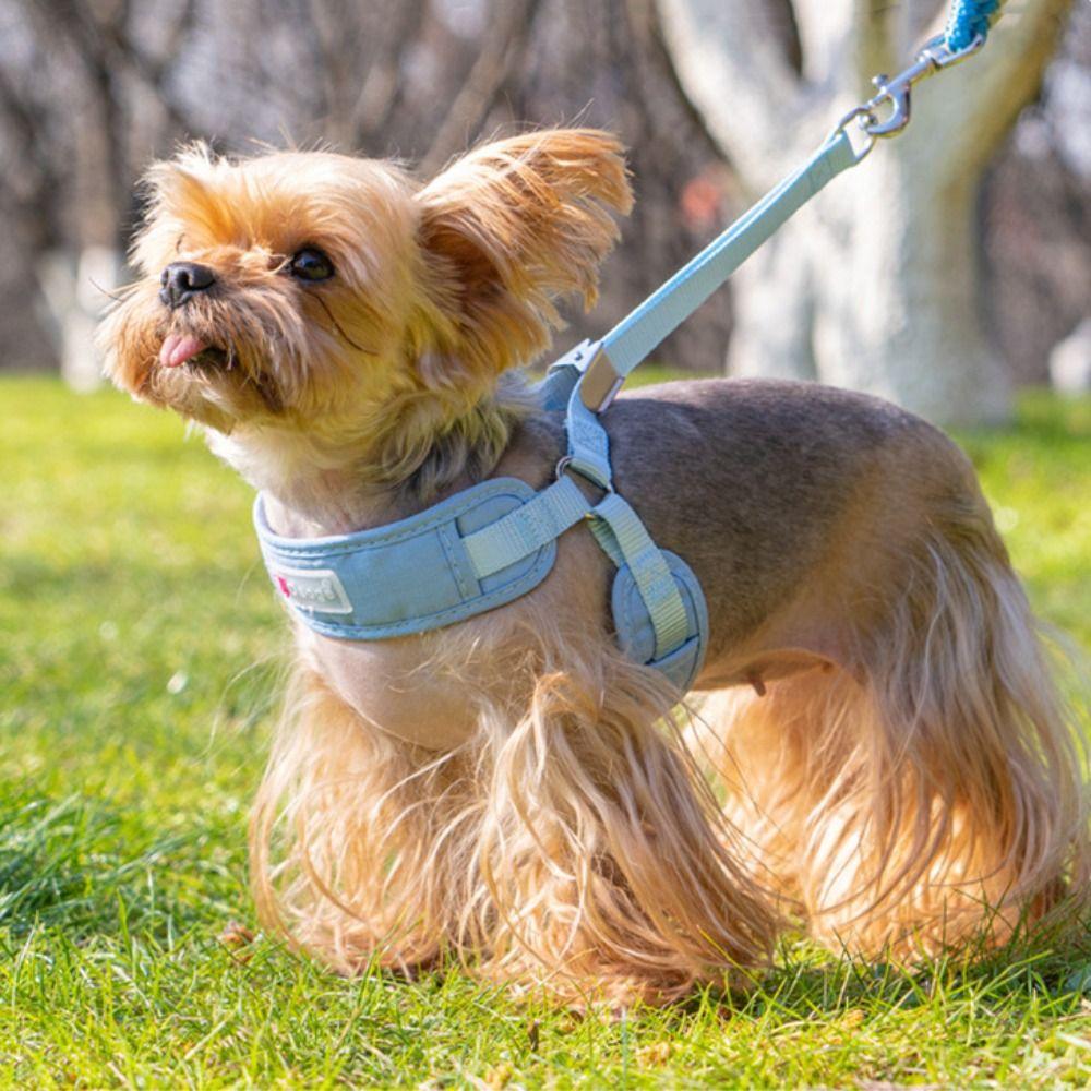 Comfortable Dog Leash Breathable Puppy Chest Strip Pet Waist Belt Dog Walking Rope  Outdoor Walking