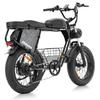 Hidoes HD-B9 All-Terrain Electric Bicycle 750W Motor 48V33.8Ah Battery 20 Inch Off-Road Tires Outdoor Riding E-Mountain Bike