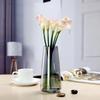Transparent Aurora Illusion Glass Vase Flower Arrangement Vase Tabletop Vase Home Decoration Vase Perfect Gift for Wedding