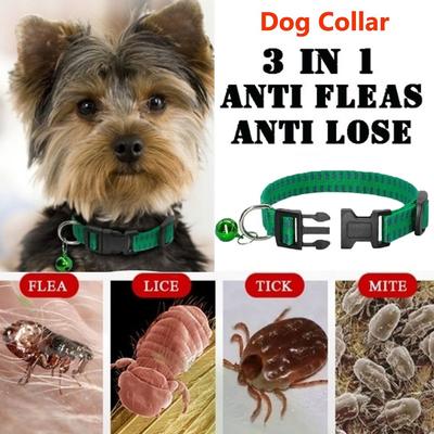 Seguridad Eficaz Insecticida Mata Insectos Correa para el Cuello al Aire Libre Collar para Perro Anti Pulgas Ácaros Garrapatas Suministros para Mascotas