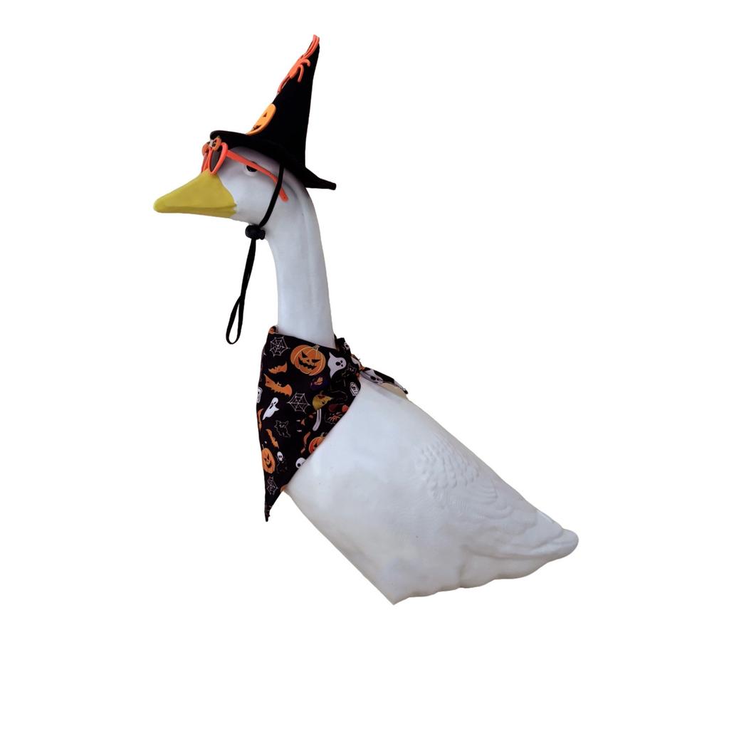 Halloween Goose Costume Set Includes Witch Hat with Spider and Pumpkin Design Bandana with Halloween Themed Prints and Sunglasses Accessory for Pets