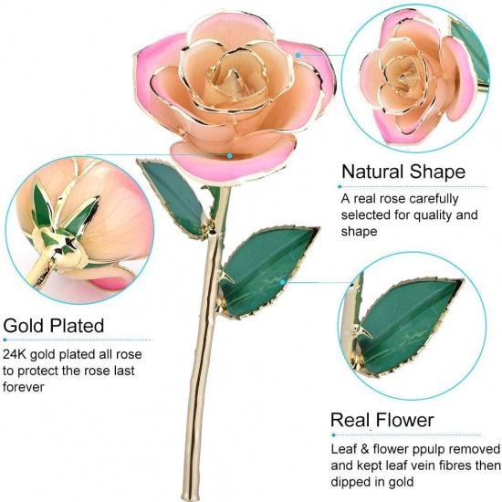 ZJchao 24K Peach Rose for Her, Dipped Gold Rose Eternity Love Real Golden Plated Preserved Eternal Flower with Rose Stand Present for
