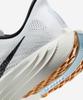 [Nike] Pegasus Plus M [FQ7262-101]