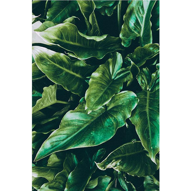 Modern Nature Canvas Painting Green Leaves Paintings Plant Pictures Tree Posters Prints for Living Room Decor Cuadros Wall Art