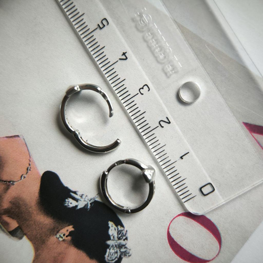Silver Earrings with Cubic Zirkonia (2209966)