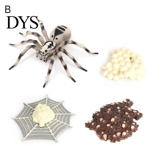 4Pcs/5Pcs Frog Tarantula Butterfly Bee Animal Growth Observation Model Toys