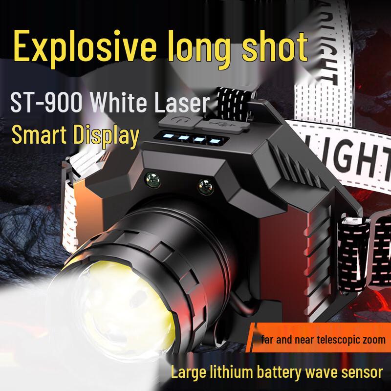 WGP Diverse Collection: Lighting, Grooming & More
