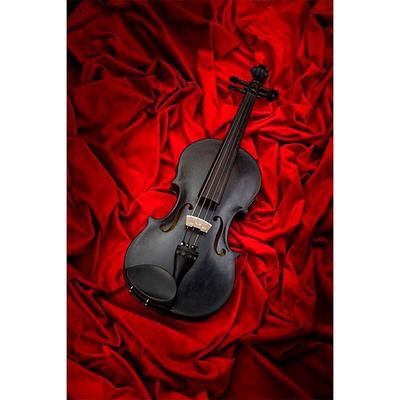 DIY 5D Kreuzstich Schwarze Violine Diamant Malerei Mosaik Diamant bestickt