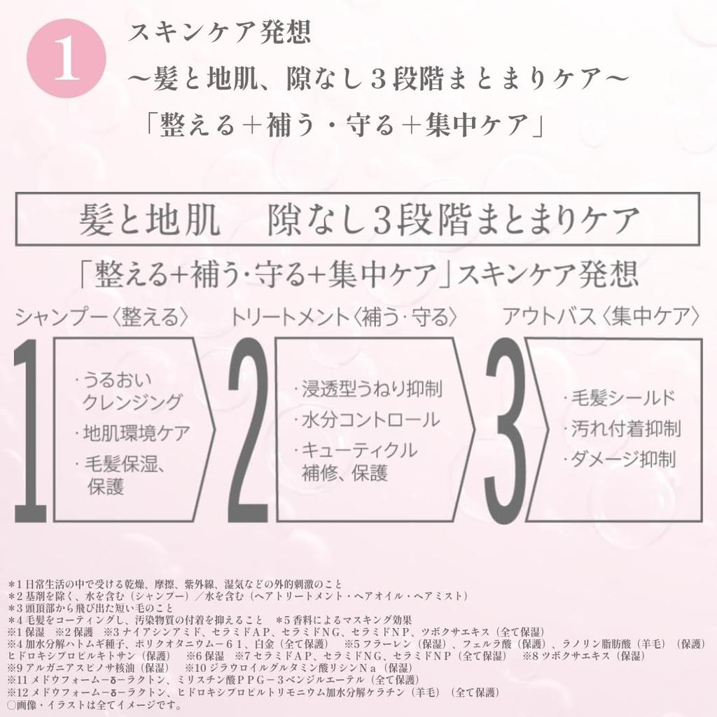 Veiling Veiling and Hair Serum Set Purunt. Serum, Shampoo, Treatment, 3-Piece