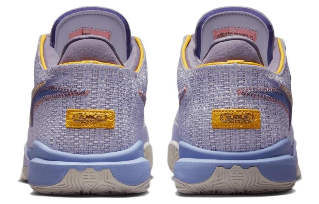 Nike LeBron 20 EP "Purple And Gold" DJ5422-500