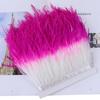 10-15Cm Two-Color Ostrich Hair Cloth Edge Clothing Accessories Diy Material High-Quality Ostrich Hair Lace Skirt