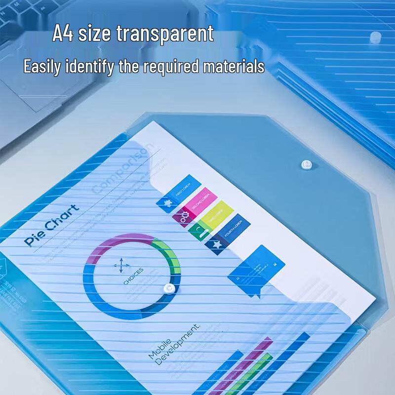 Deli A4 Transparent Document Bag
