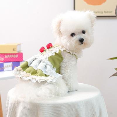 Pet Clothes Autumn and Winter New Small Dog Puppies Happy Dog Cat Warm and Comfortable Green Field Rose Lace Skirt