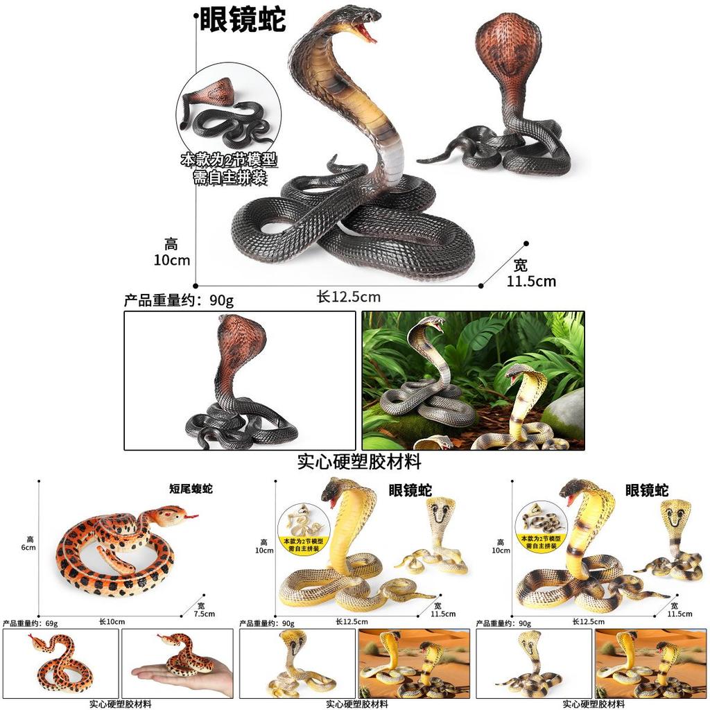 Children Fake Snake Toy With Realistic Sound And Flexible Plastic For Play And Educational Use