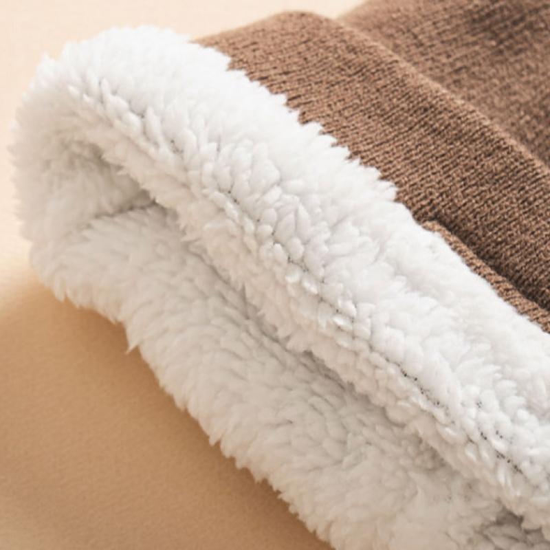 Daiso Fur Lined Simple Beanie Brown