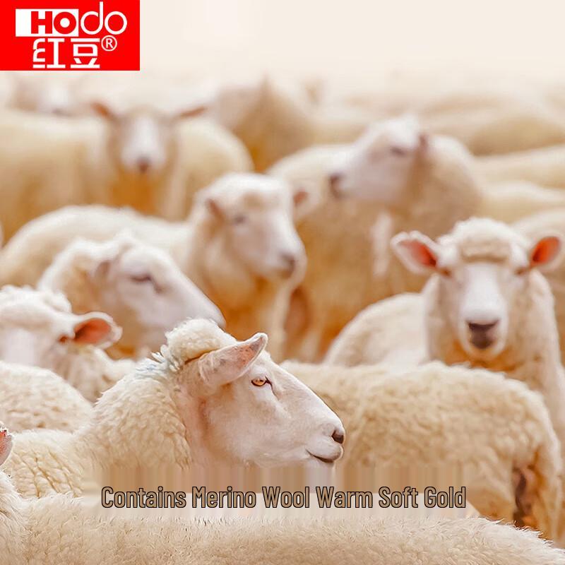 Hongdou Women's 3A Antibacterial Fleece-Lined Wool Blend Thermal Set