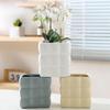 Cream Style Round Ceramic Flower Pot with Tray