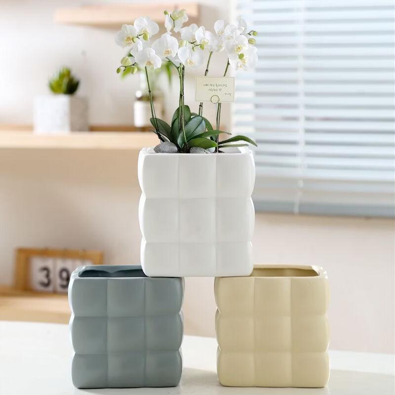 Cream Style Round Ceramic Flower Pot with Tray