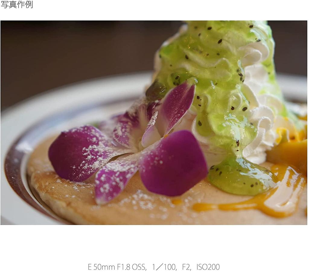 Sony E 50mm OSS Prime Lens for Format F1.8 APS-C