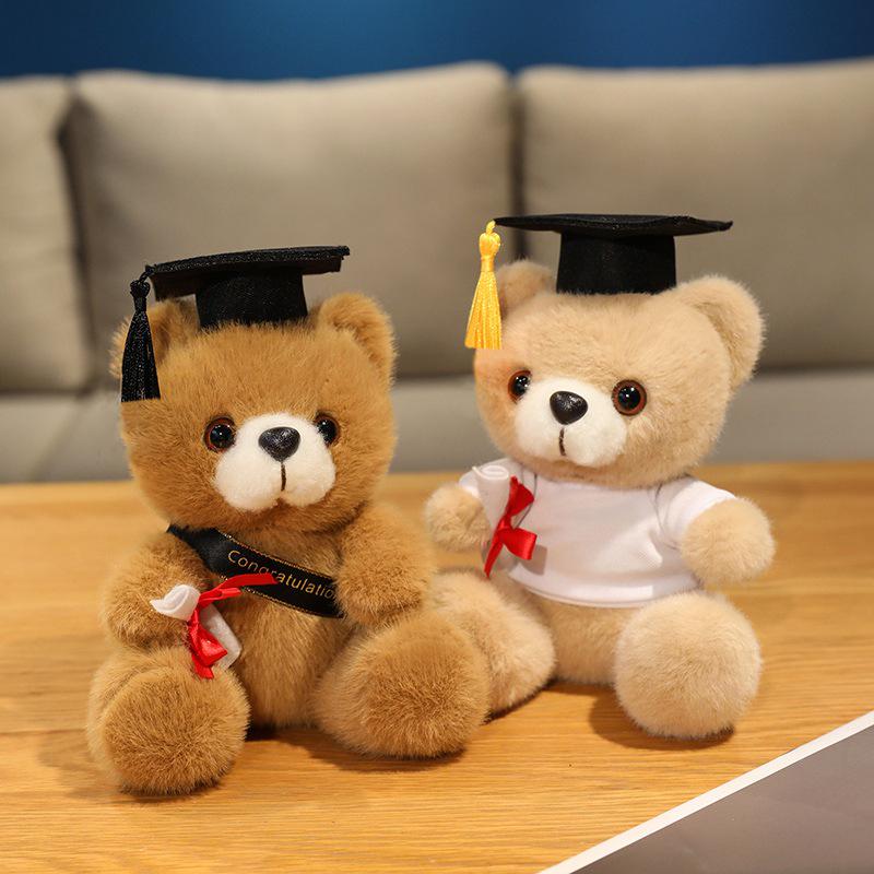 Graduation Gift Bear for Students: Doctoral, Master's, University, Kindergarten