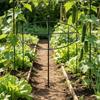 Round Plant Support Loop Decorative Design Circular Vine Trellis Stake Climbing Plant Loop Long-Lasting Space-Saving for Garden