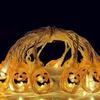 Linpan Halloween LED Pumpkin String Lights