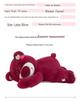Strawberry Hugging Pig & Little Bear Plush Toy Blanket – Dual-use Nap & Travel Comfort for Kids
