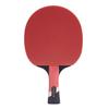 Li Sheng Professional Table Tennis Paddle Set