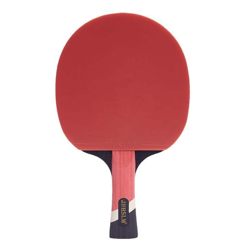 Li Sheng Professional Table Tennis Paddle Set